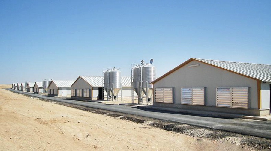 Australian: 12 Sets hot dipped galvanized Steel Structure Poultry Farm Building Chicken Shed Broiler Houses